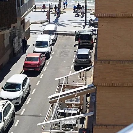 Paloma トレビエハ