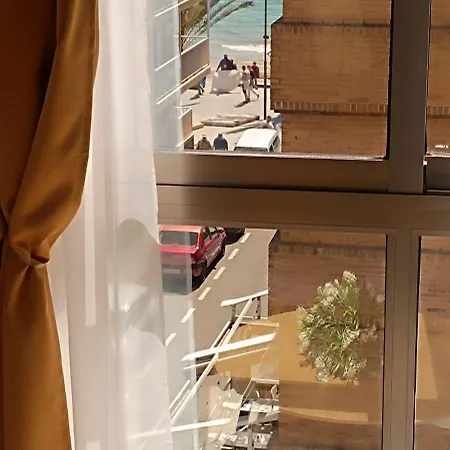 Paloma トレビエハ