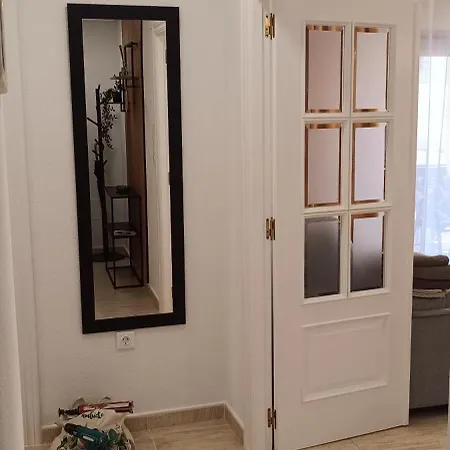 Paloma * Торевьиа